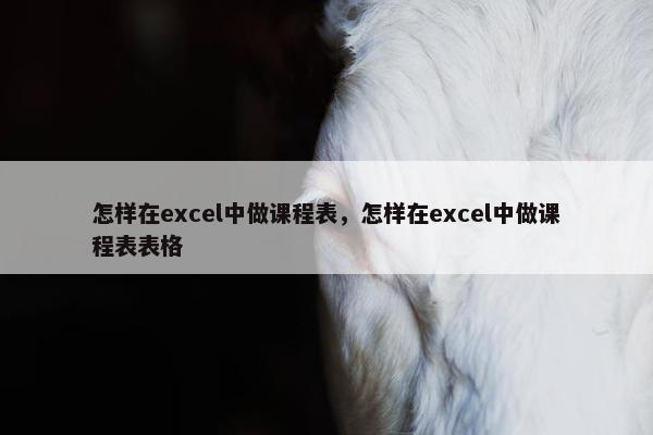 怎样在excel中做课程表，怎样在excel中做课程表表格