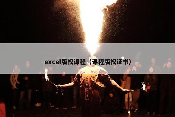 excel版权课程（课程版权证书）