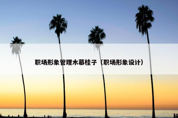 职场形象管理木慕桂子（职场形象设计）