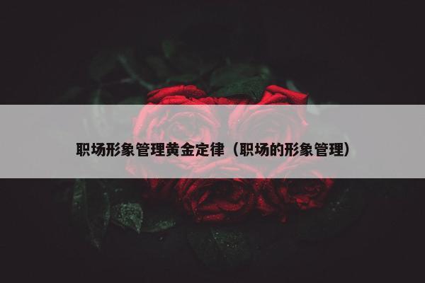 职场形象管理黄金定律（职场的形象管理）