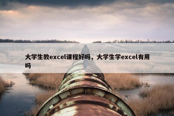 大学生教excel课程好吗，大学生学excel有用吗