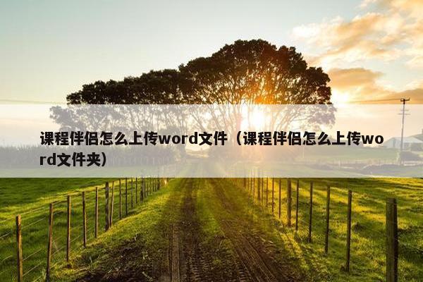 课程伴侣怎么上传word文件（课程伴侣怎么上传word文件夹）