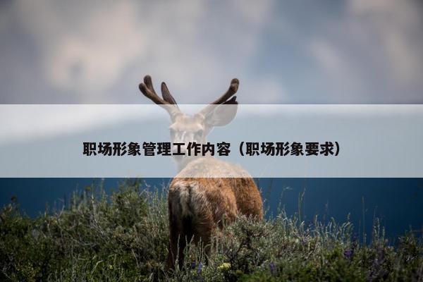 职场形象管理工作内容（职场形象要求）