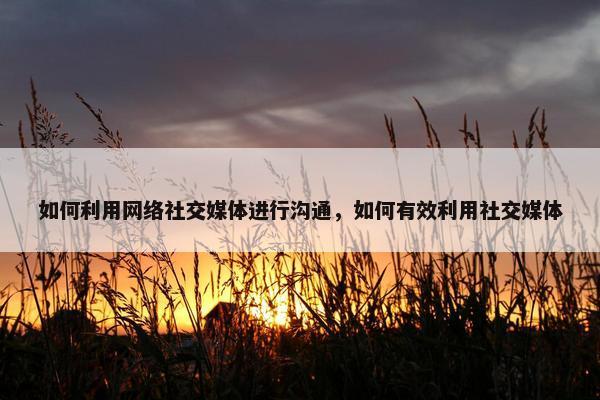 如何利用网络社交媒体进行沟通，如何有效利用社交媒体