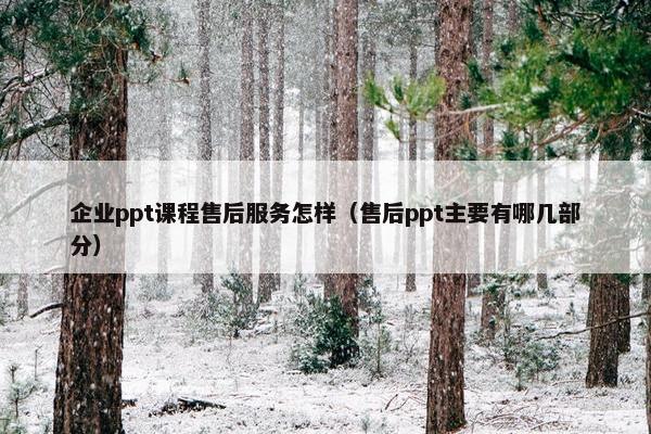 企业ppt课程售后服务怎样（售后ppt主要有哪几部分）