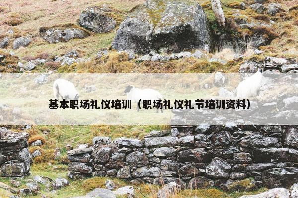 基本职场礼仪培训（职场礼仪礼节培训资料）