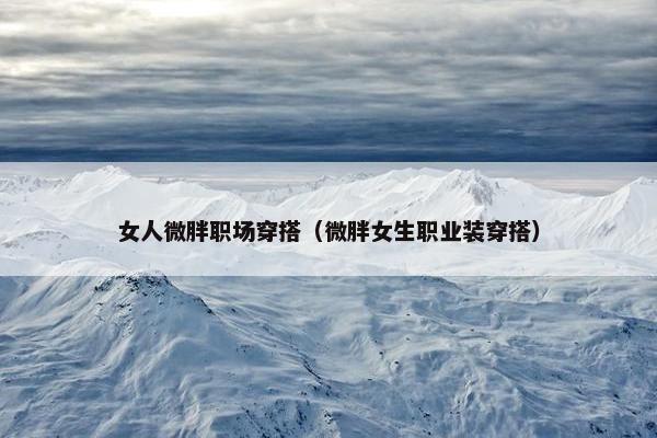 女人微胖职场穿搭（微胖女生职业装穿搭）