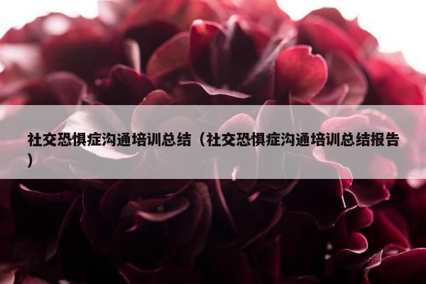 社交恐惧症沟通培训总结（社交恐惧症沟通培训总结报告）