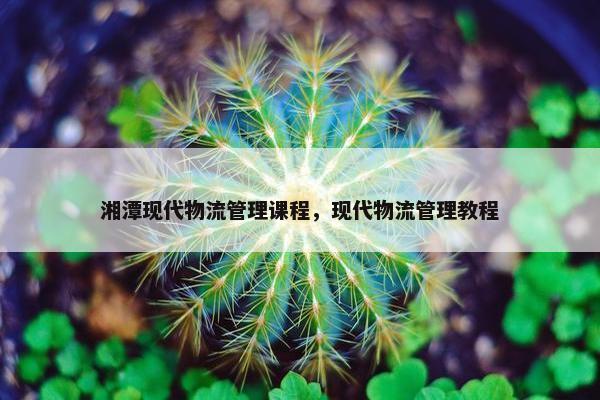 湘潭现代物流管理课程，现代物流管理教程