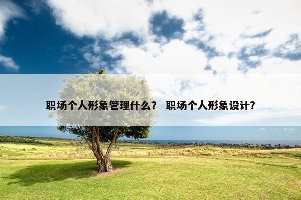 职场个人形象管理什么？ 职场个人形象设计？