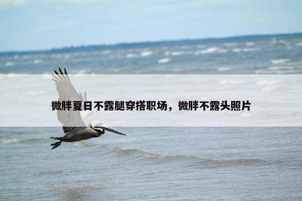 微胖夏日不露腿穿搭职场，微胖不露头照片