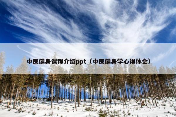 中医健身课程介绍ppt（中医健身学心得体会）