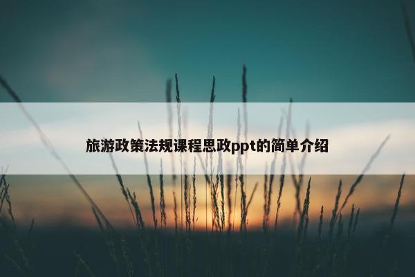 旅游政策法规课程思政ppt的简单介绍