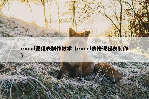 excel课程表制作教学（excel表格课程表制作）