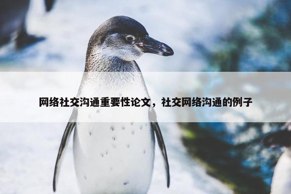 网络社交沟通重要性论文，社交网络沟通的例子