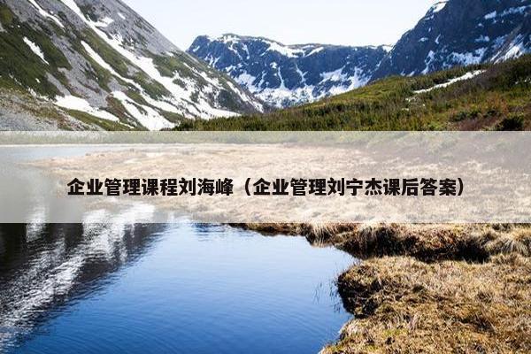企业管理课程刘海峰（企业管理刘宁杰课后答案）