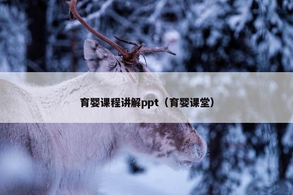 育婴课程讲解ppt（育婴课堂）