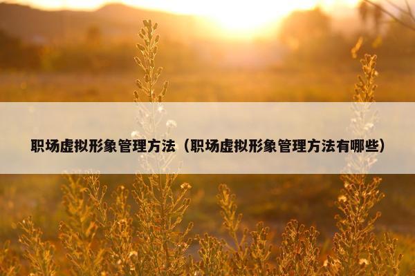 职场虚拟形象管理方法（职场虚拟形象管理方法有哪些）