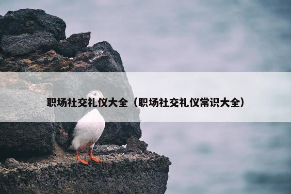 职场社交礼仪大全（职场社交礼仪常识大全）