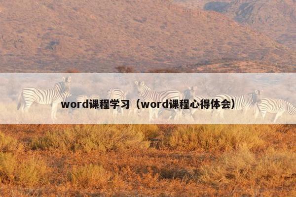 word课程学习（word课程心得体会）