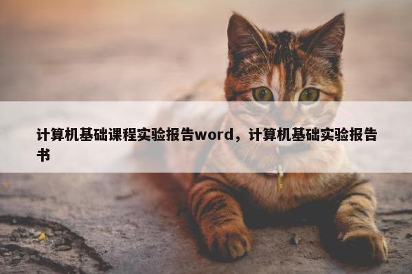 计算机基础课程实验报告word，计算机基础实验报告书