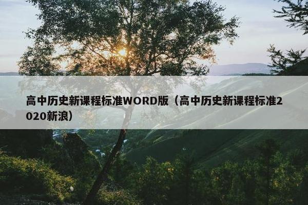 高中历史新课程标准WORD版（高中历史新课程标准2020新浪）
