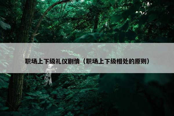职场上下级礼仪剧情（职场上下级相处的原则）