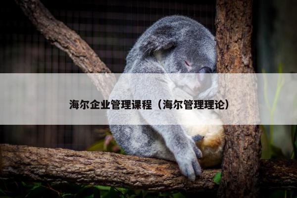 海尔企业管理课程（海尔管理理论）