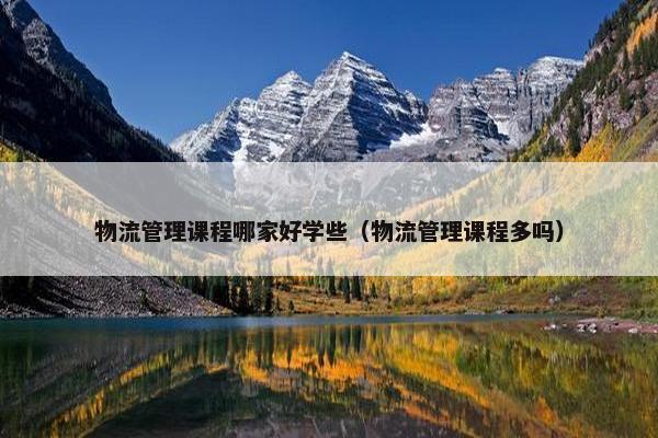 物流管理课程哪家好学些（物流管理课程多吗）
