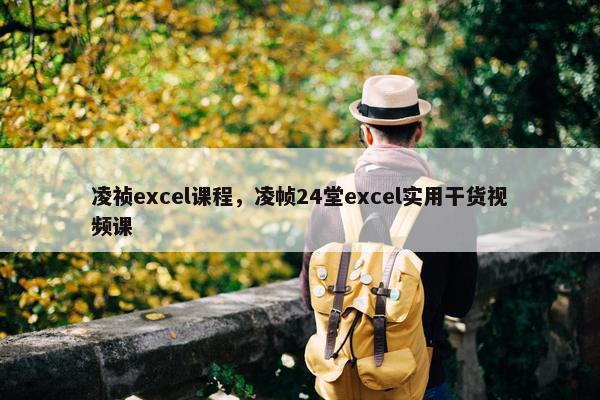 凌祯excel课程，凌帧24堂excel实用干货视频课