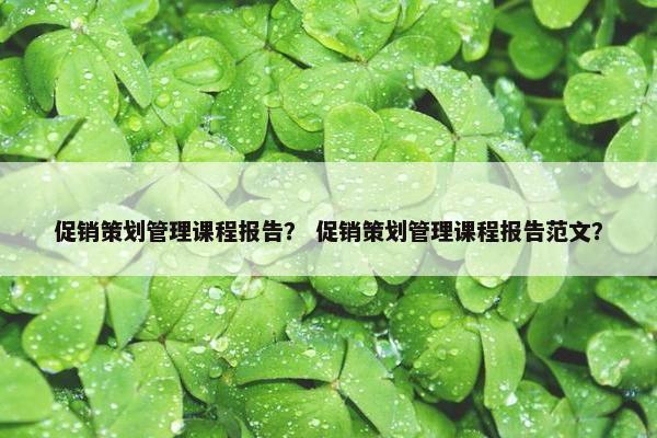 促销策划管理课程报告？ 促销策划管理课程报告范文？