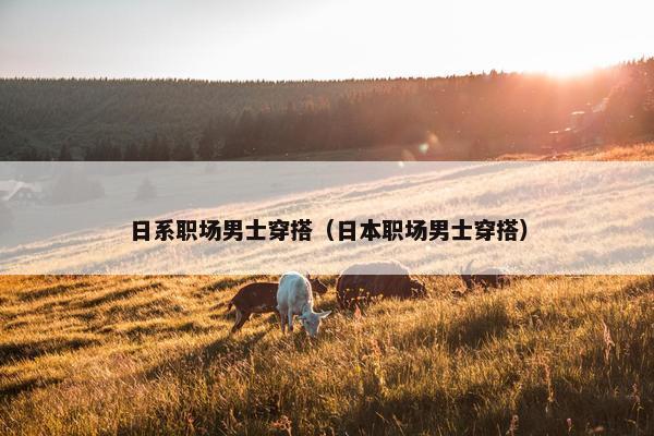 日系职场男士穿搭（日本职场男士穿搭）