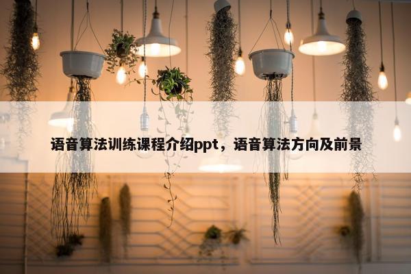 语音算法训练课程介绍ppt，语音算法方向及前景