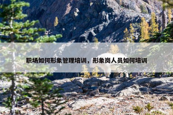 职场如何形象管理培训，形象岗人员如何培训
