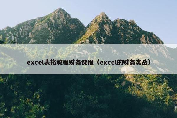excel表格教程财务课程（excel的财务实战）