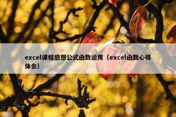 excel课程感想公式函数运用（excel函数心得体会）