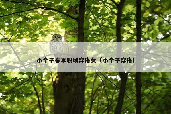 小个子春季职场穿搭女（小个子穿搭）