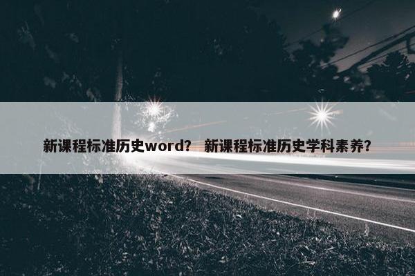 新课程标准历史word？ 新课程标准历史学科素养？