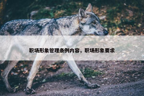 职场形象管理条例内容，职场形象要求