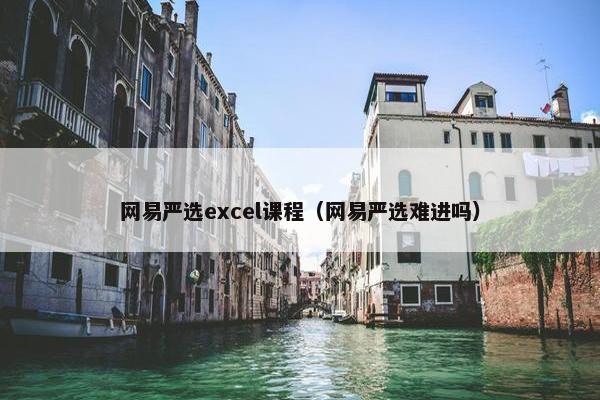 网易严选excel课程（网易严选难进吗）