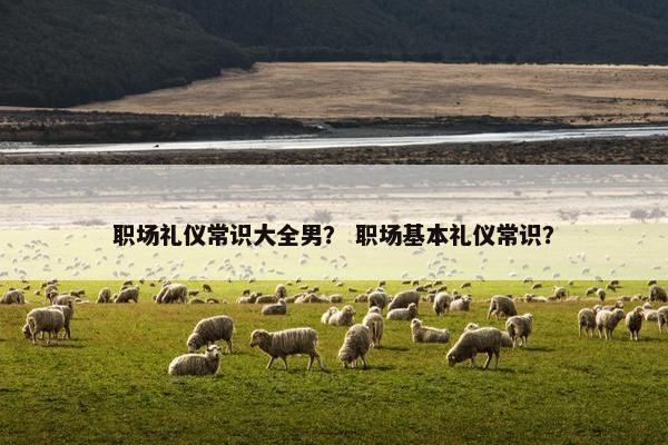 职场礼仪常识大全男？ 职场基本礼仪常识？