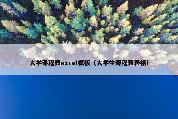 大学课程表excel模板（大学生课程表表格）
