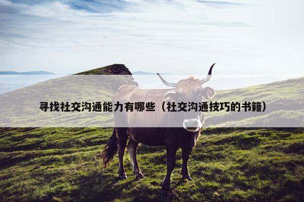 寻找社交沟通能力有哪些（社交沟通技巧的书籍）