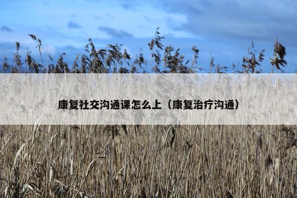 康复社交沟通课怎么上（康复治疗沟通）
