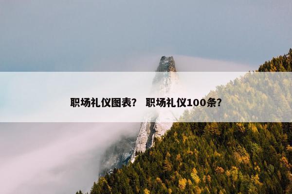 职场礼仪图表？ 职场礼仪100条？