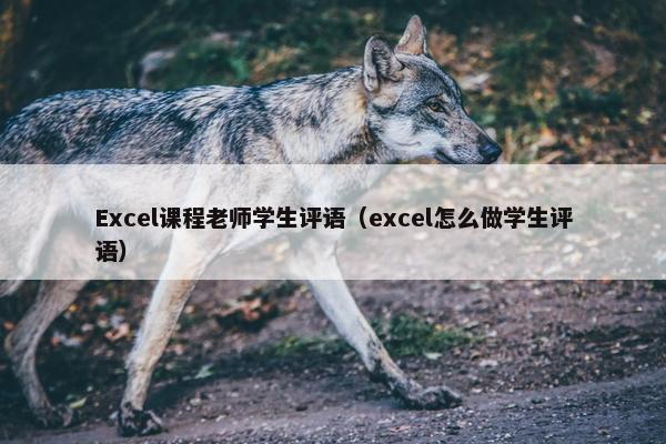 Excel课程老师学生评语（excel怎么做学生评语）
