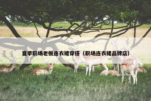 夏季职场老板连衣裙穿搭（职场连衣裙品牌店）