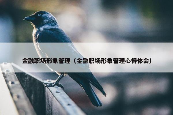 金融职场形象管理（金融职场形象管理心得体会）