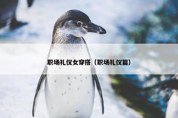 职场礼仪女穿搭（职场礼仪篇）