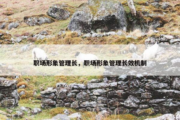 职场形象管理长，职场形象管理长效机制